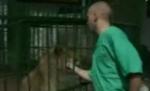Grădina Zoologică din Braşov a rămas fără veterinar din cauza reducerilor salariale (VIDEO)