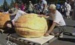 Dovleac de 530 de kilograme, prezentat la o expoziţie de profil din SUA (VIDEO)