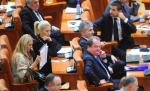 Mai mulţi parlamentari PDL ar putea să nu voteze proiectul de buget pe 2011