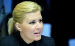 Udrea: Nimeni normal la cap nu-şi poate imagina că în 2010 îl poţi suspenda pe preşedinte a doua oară