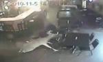 Un cerb "dă iama" într-un bar şi apoi iese vertiginos pe uşa din spate
