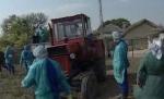 Virusul gripei aviare, descoperit în Delta Dunării. Tulpina nu este periculoasă pentru om