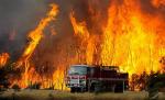 Incendiile de vegetaţie au distrus 350 de hectare în Australia