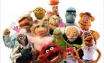Ricky Gervais şi Emily Blunt, cele mai noi celebrităţi care vor juca în filmul "Muppets"
