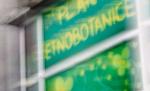 Primăria Capitalei interzice "magazinele de vise" în apropierea instituţiilor publice 