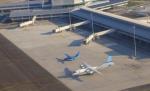 Aeroportul din Sofia a anulat două curse către Bucureşti din cauza vremii