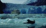 Peste 500 de marinari au rămas blocaţi în gheţurile Oceanului Pacific