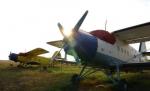 Armata Română renunţă la folosirea avioanelor AN-2, în urma tragediei de la Tuzla