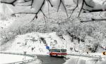 Funcţionarii sud coreeni, sfătuiţi să poarte lenjerie groasă. Căldura, oprită în toate ministerele