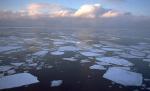 Organizaţia Meteorologică Mondială: 2010 a fost cel mai cald an înregistrat vreodată