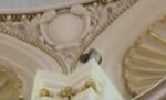 Un şoim şi-a făcut cuib în celebra bibliotecă a Congresului american