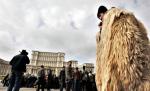 Ciobanul de munte - meserie recunoscută oficial în România
