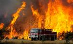 Australia. Incendiile de vegetaţie au distrus zeci de case