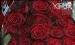 Je t'aime, I love you, Ti amo, Te quiero: Declaraţii de amor şi cadouri originale de Ziua Îndrăgostiţilor