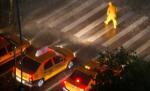 Taximetriştii folosesc "maimuţa" cu telecomandă pentru a fura de la clienţi