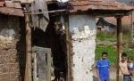 Românii trăiesc ca în Evul Mediu: Aproape jumătate din populaţie nu are baie în casă