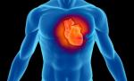 Remodelare cardiacă: Tratament prin care inima poate fi reparată, dezvoltat de medicii ruşi
