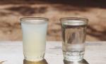 Consătenii Elenei Udrea beau apă infestată cu nitraţi şi nitriţi