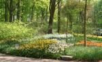 Primăvara a venit în România. Vezi prognoza meteo pentru următoarele două zile