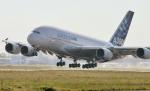 Următoarea fază în aviaţie - biocombustibilii. Vezi aici cine sunt primii care schimbă macazul