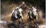 Premiile Mondiale Sony pentru Fotografie 2011. Vezi câştigătorii competiţiei deschise amatorilor