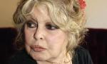 Brigitte Bardot le-a scris deputaţilor români: Eutanasierea câinilor va aminti de trecutul dictatorial al ţării voastre