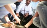 Jumătate de milion de euro pentru un spital veterinar ultramodern în Sfântu Gheorghe 