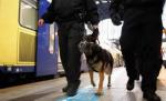 SUA. Un hoţ muşcat de un câine poliţist dă în judecată autorităţile
