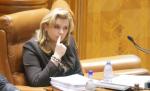 Anastase sau Macovei ar putea candida pentru funcţia de prim-vicepreşedinte al PDL