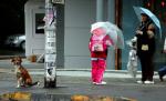 Weekendul aduce vreme răcoroasă şi ploioasă. Vezi prognoza meteo 
