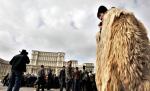 Gorj. Ciobani amendaţi de fisc pentru că nu au carte de muncă