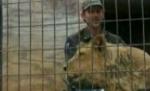 Un american invalid şi un leu de doi metri, prieteni de suferinţă