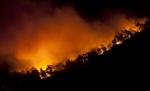 Pompierii spanioli se luptă de trei zile cu cel mai mare incendiu de pădure din istoria insulei Ibiza