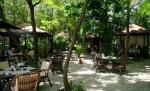 Cluburile din Herăstrău, "curăţate" cu buldozerul