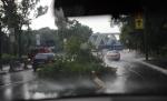 Avertizare meteo pentru Bucureşti şi Braşov: grindină şi ploi torenţiale