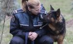Nouă înfăţişare în instanţă, în procesul dintre Poliţia Română şi Poliţia Animalelor