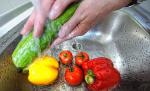 OMS: Bacteria E. coli a suferit o mutaţie necunoscută. 18 persoane au murit până acum