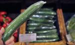 Producătorii români au pierderi zilnice de 100.000 euro din cauza E. coli