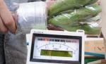Estimările nivelului de radiaţii emise după catastrofa de la Fukushima, dublate de japonezi
