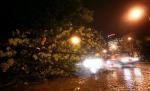 Caniculă urmată de furtuni: Vijeliile au făcut ravagii în vestul ţării