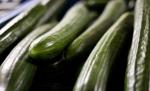 Pagubele produse de epidemia E.coli depăşesc 400 de milioane de euro