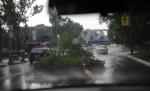 Atenţionare de vreme rea pentru Bucureşti şi Ilfov