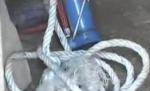 O femeie din Vaslui şi-a legat fata de un copac. Fiica sa este bolnavă psihic