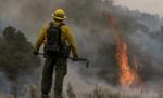 SUA. Cel mai devastator incendiu din Arizona s-a dublat în ultimele 12 ore