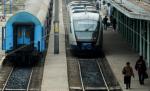 Patru trenuri sunt blocate în gări după ce un copac a căzut peste o linie de cale ferată în Bistriţa-Năsăud