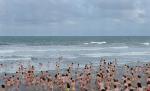 400 de oameni au făcut baie goi în mare, pentru a doborî un nou record mondial 