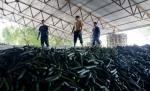 Un român plecat la muncă în Italia a murit. Soţia sa acuză condiţiile inumane de lucru