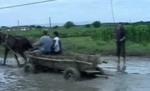Vrancea. Localnicii dintr-o comună pescuiesc în mijlocul drumului de câte ori plouă