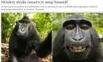 O maimuţă a furat aparatul unui fotograf şi şi-a făcut singură poze