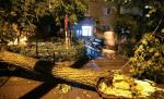 Vaslui. 15 localităţi, fără curent electric, cel mai probabil din cauza furtunii